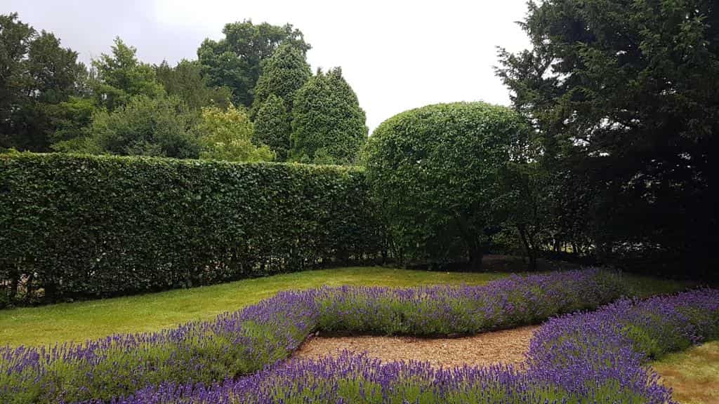 This is a photo of a garden hedge that has just been trimmed by EM Tree Surgery Brockworth